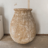 Astro 33" x 26"