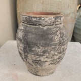 Halley 6" x 5.5"