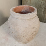 Halley 6" x 5.5"