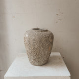 Agena 10" x 9"