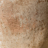 Nova 43” x 22”