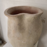 Alula 22" x 17"
