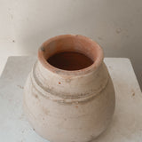 Gorganea 6" x 7"