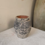 Halley 6" x 5.5"