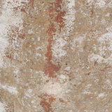 Astro 33" x 26"