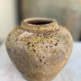 Hadar 6" x 6.3"