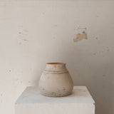 Gorganea 6" x 7"