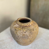 Hadar 6" x 6.3"