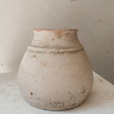 Gorganea 6" x 7"