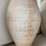 Galileo 41" x 27"