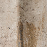Astra (medium) 47" x 24"