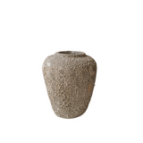 Agena 10" x 9"
