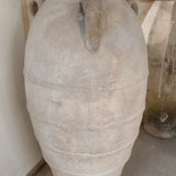 Regulus (large) 50" x 25"