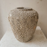 Agena 10" x 9"