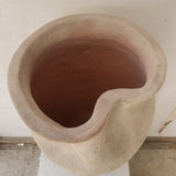 Alula 22" x 17"