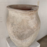 Alula 22" x 17"