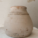Gorganea 6" x 7"