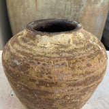 Hadar 6" x 6.3"