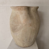 Alula 22" x 17"