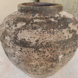 Hadar 6" x 6.3"
