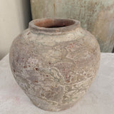 Hadar 6" x 6.3"