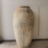 Atria 47" x 25”