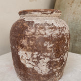 Kuiper 7" x 6"