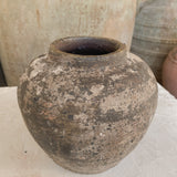 Hadar 6" x 6.3"