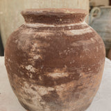 Hadar 6" x 6.3"