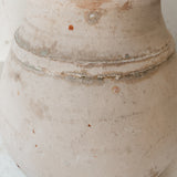 Gorganea 6" x 7"