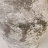 Auriga 6" x 6.7"