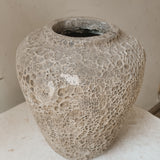 Agena 10" x 9"