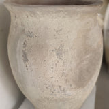 Alula 22" x 17"