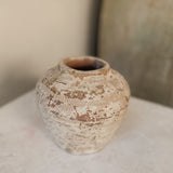 Hadar 6" x 6.3"