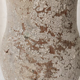 Aquila 9” x 6”