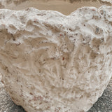 Hydrus (large) 25" x 18"
