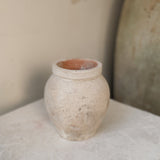 Halley 6" x 5.5"