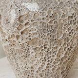 Agena 10" x 9"