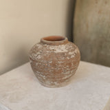 Hadar 6" x 6.3"
