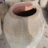 Atria 47" x 25”