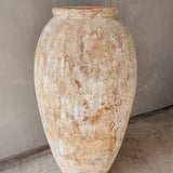 Atria 47" x 25”
