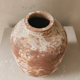 Lumosia (terra brown) 9” x 7”
