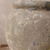Zosma (moss) 28" x 18"