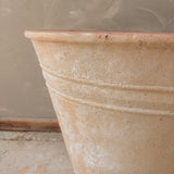 Diadem (small) 21” x 15”