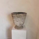 Irena 13" x 13"