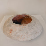 Phaet 4" x 8"