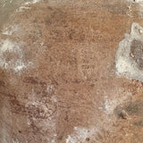 Pluto (terra brown) 11" x 7"