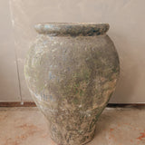 Zosma (moss) 28" x 18"