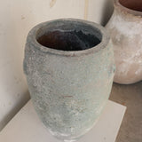 Althena (moss) 16" x 9"