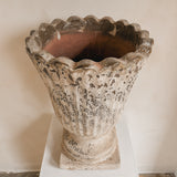 Leonis 20" x 14"